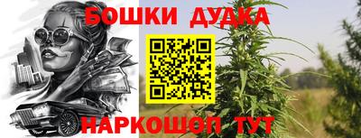 индика Краснокаменск