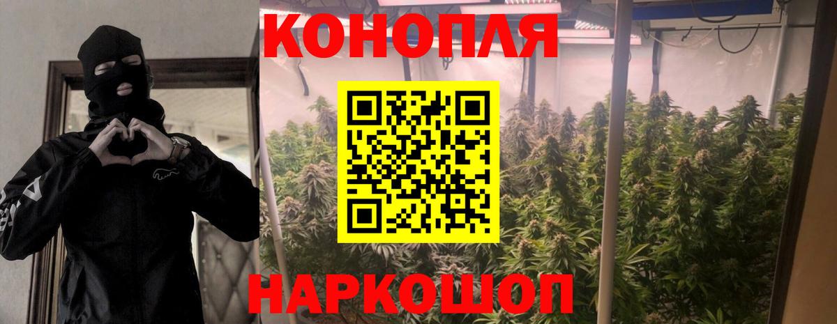 МАРИХУАНА конопля  Конопля план  Ипатово  Вход с VPN 